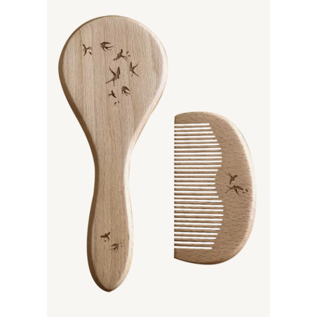 Set brosse et peigne -