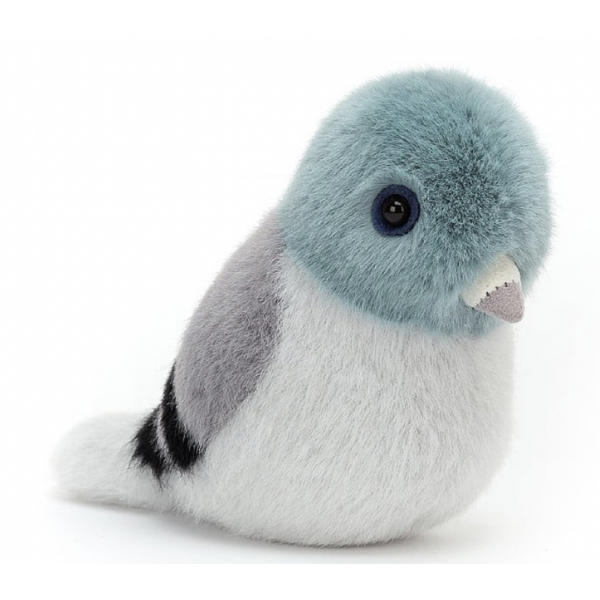 Oiseau - Pigeon