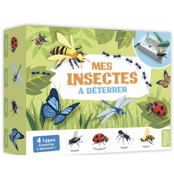 Mes insectes à déterrer