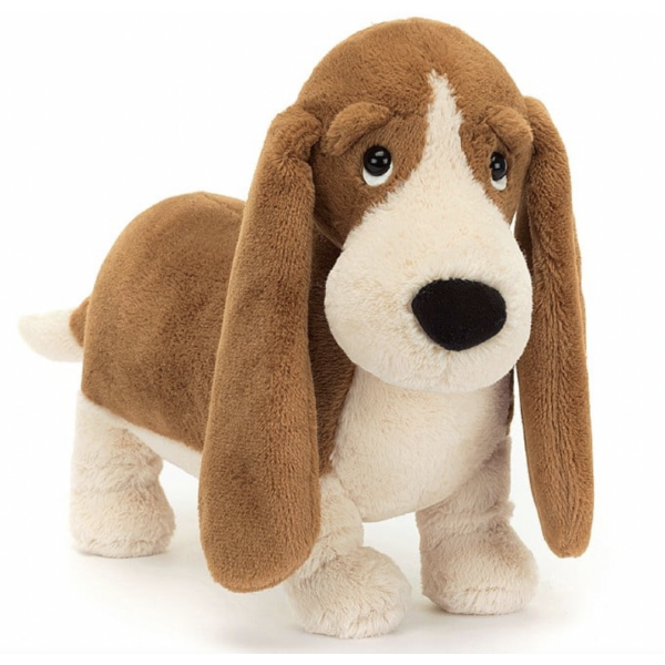 Peluche - Randall Basset Hound