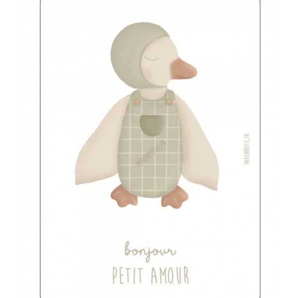 Carte naissance -doudou canard boy