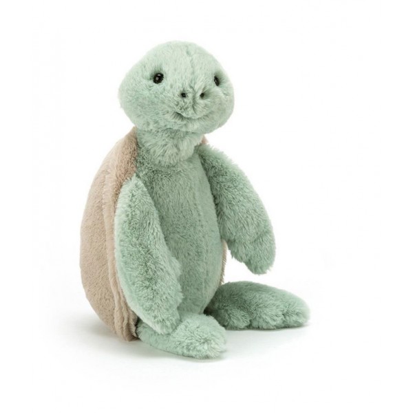 Bashful turtle - small