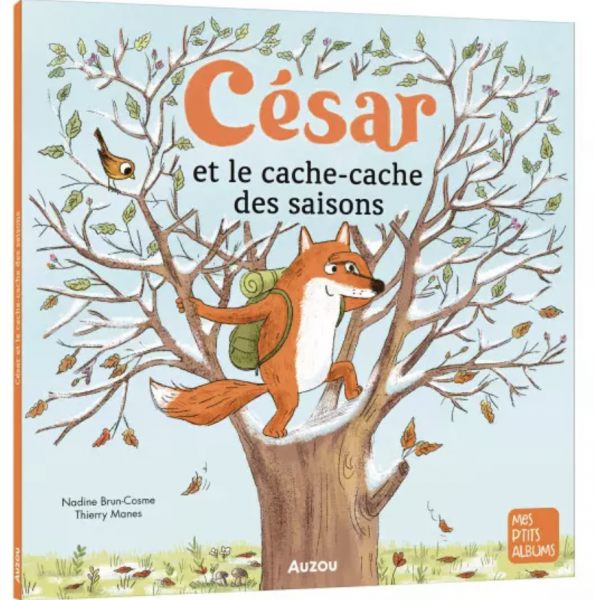 César et le cache cache des saisons