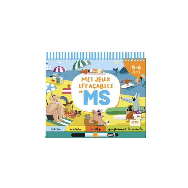 Mes jeux effaçables de MS