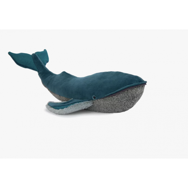 Grande baleine à bosser - Tout autour du monde