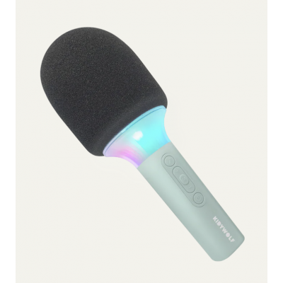 Kidymic micro karaoké - vert