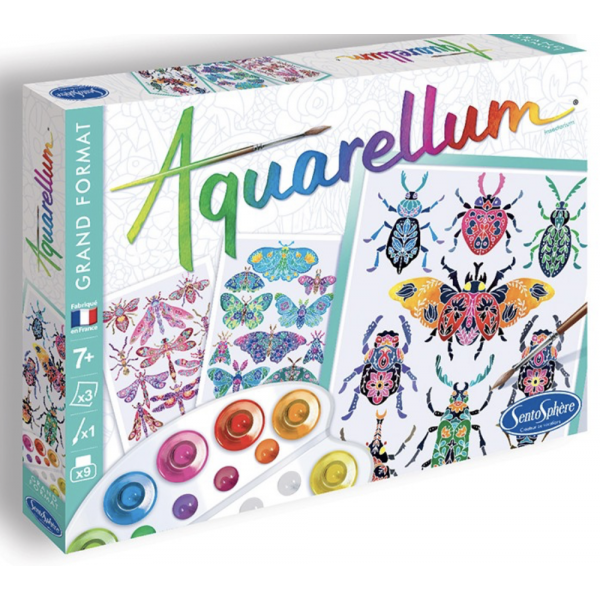 Aquarellum - Insectarium