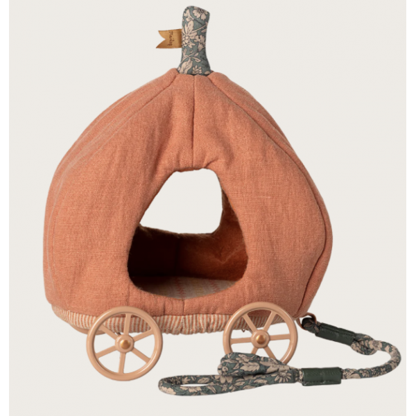 Carrosse citrouille, Souris