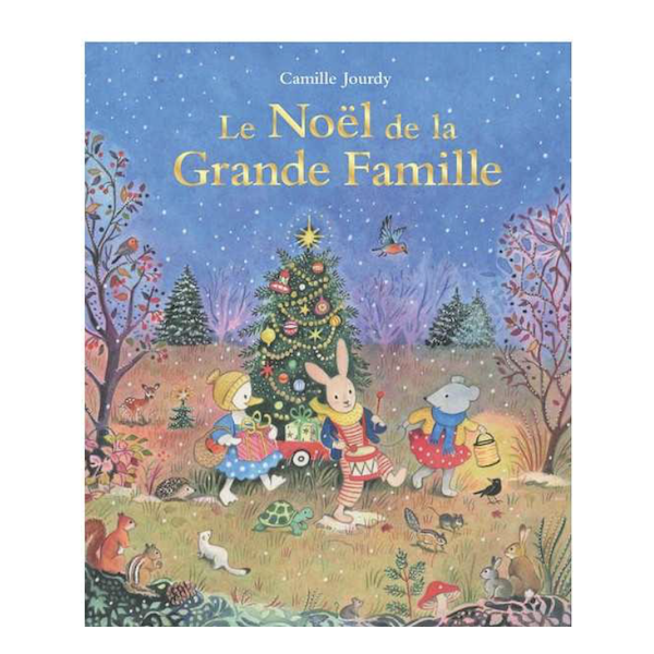 Livre - Le Noël de la Grande Famille