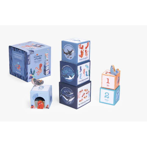 Cubes empilables - Les Aventures de Paulie