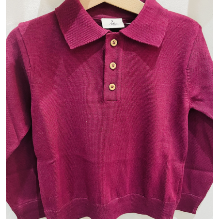 Pull polo Gustave tricot cassis