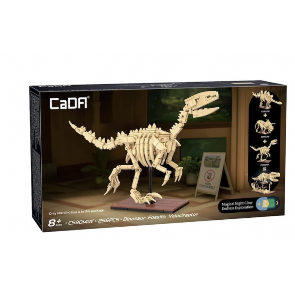 Cada - Squelette de Velociraptor