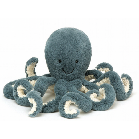 Pieuvre - Octopus Little - Storm